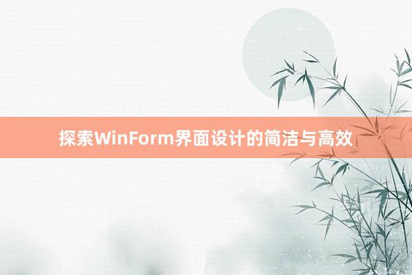 探索WinForm界面设计的简洁与高效